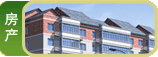 房产
